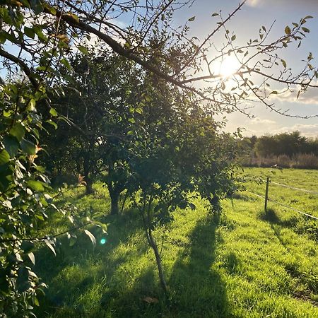 Une Maison, Un Jardin Berthenay المظهر الخارجي الصورة