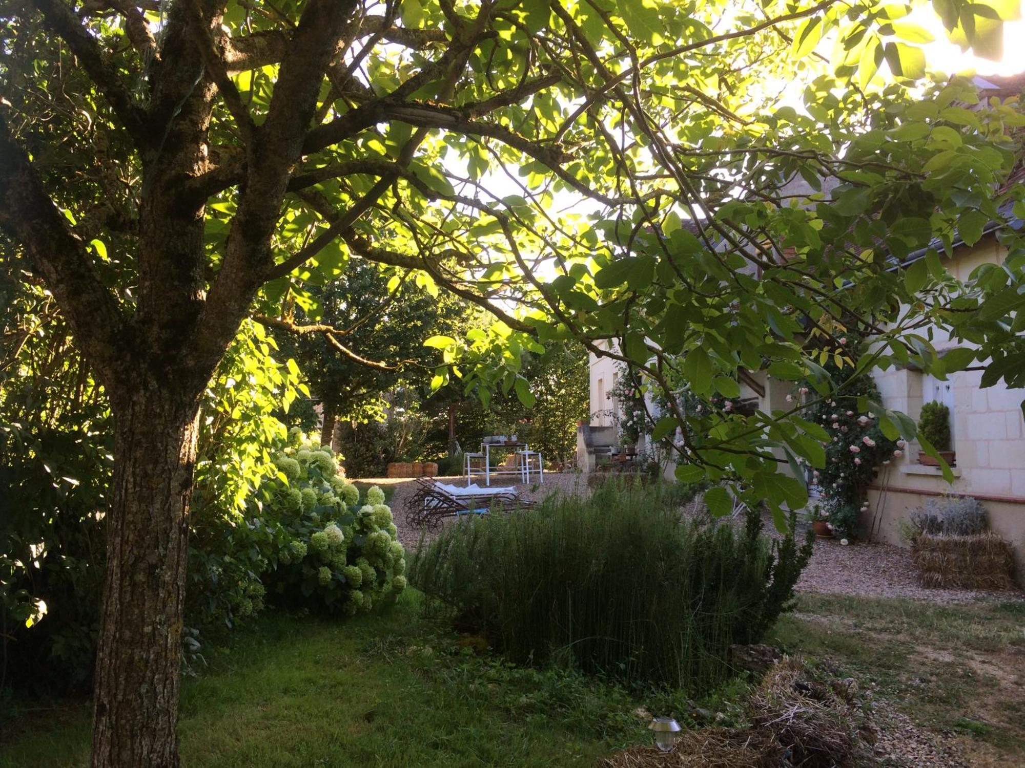 Une Maison, Un Jardin Berthenay المظهر الخارجي الصورة