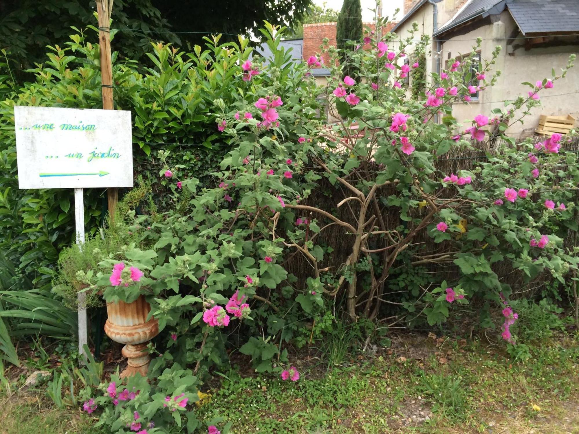 Une Maison, Un Jardin Berthenay المظهر الخارجي الصورة